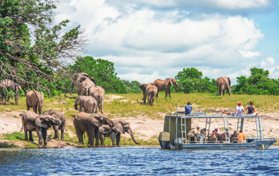 amawaterways africa safari reviews